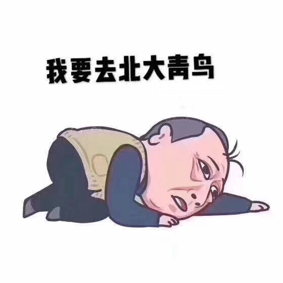 來鄭州北大青鳥學(xué)IT不做“蘇明成”