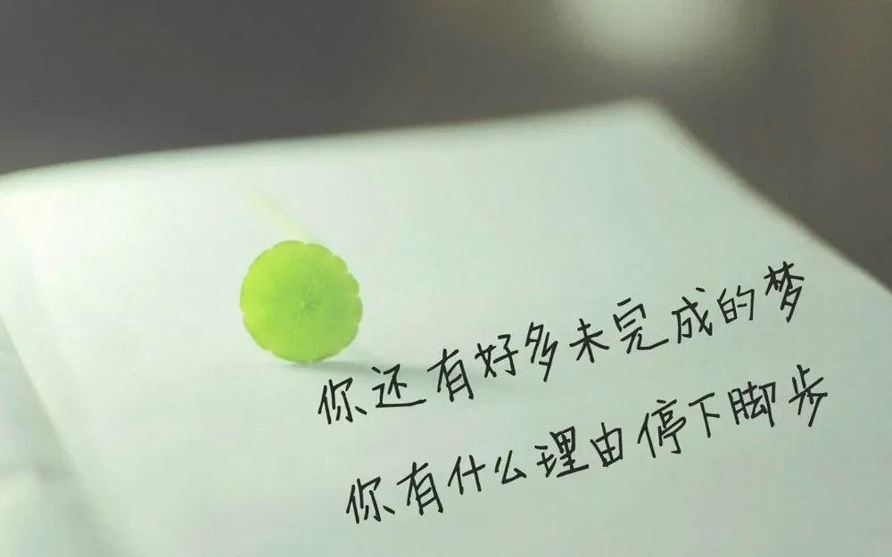 遇見鄭州北大青鳥翔天信鴿這樣的開學(xué)典禮